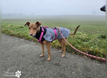 Naomi befindet sich bereits auf PS in der Schweiz