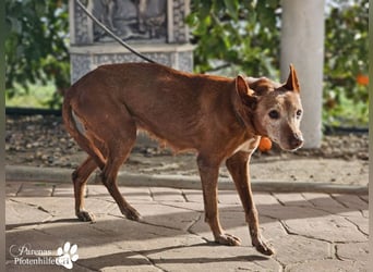 Mariela hat ein ruhiges, fröhliches Wesen