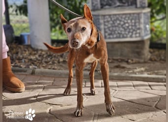 Mariela hat ein ruhiges, fröhliches Wesen