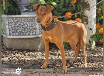 Naomi befindet sich bereits auf PS in der Schweiz