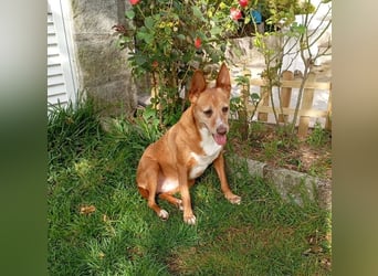 ❤️AUREA❤️    ❗NOTFALL❗