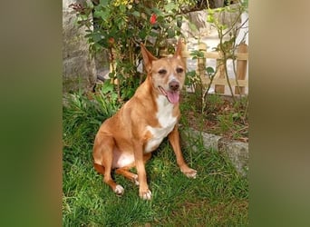 ❤️AUREA❤️    ❗NOTFALL❗