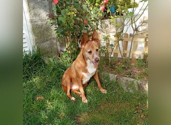 ❤️AUREA❤️    ❗NOTFALL❗