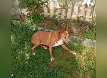 ❤️AUREA❤️    ❗NOTFALL❗