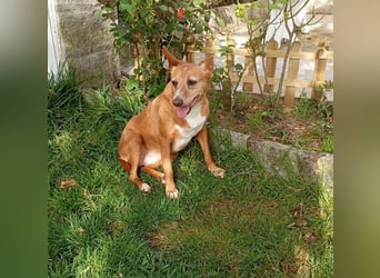 ❤️AUREA❤️    ❗NOTFALL❗