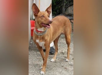 Wunderschöne Venus sucht eine Familie