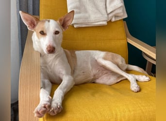 Sonnenschein SUNNY sucht ihren Platz zum Strahlen