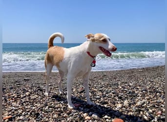 Sunny möchte dein Sonnenschein sein