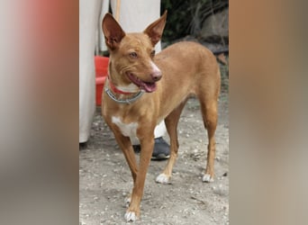 Wunderschöne Venus sucht eine Familie