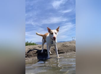 Sunny möchte dein Sonnenschein sein