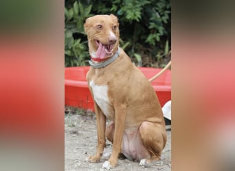 Wunderschöne Venus sucht eine Familie