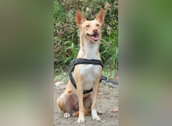 Pandora sucht ihre Familie