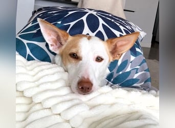 Sonnenschein SUNNY sucht ihren Platz zum Strahlen