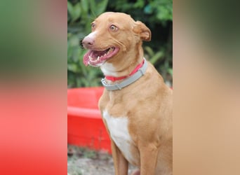 Wunderschöne Venus sucht eine Familie