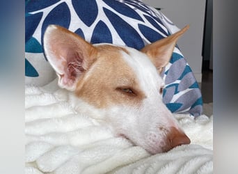 Sonnenschein SUNNY sucht ihren Platz zum Strahlen