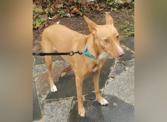 Wunderschöne Venus sucht eine Familie