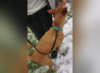 Wunderschöne Venus sucht eine Familie