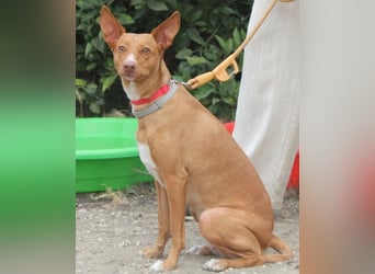 Wunderschöne Venus sucht eine Familie