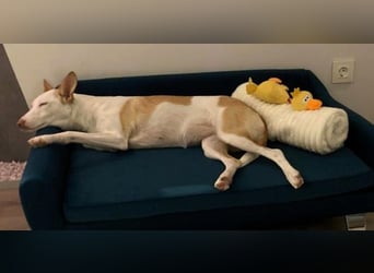 Sonnenschein SUNNY sucht ihren Platz zum Strahlen