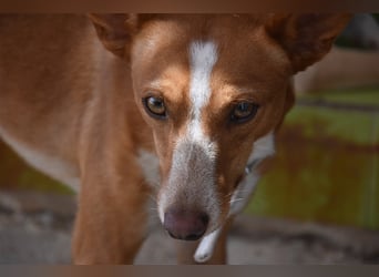 Kiriko, wer verliebt sich in ihn