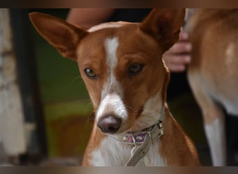 Kiriko, wer verliebt sich in ihn