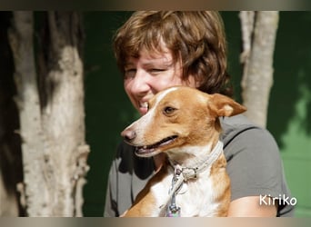 Kiriko, wer verliebt sich in ihn