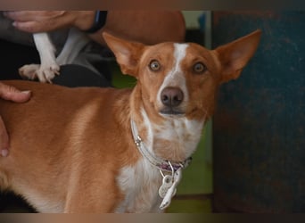 Kiriko, wer verliebt sich in ihn