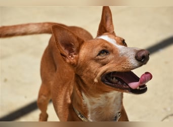 Kiriko, wer verliebt sich in ihn