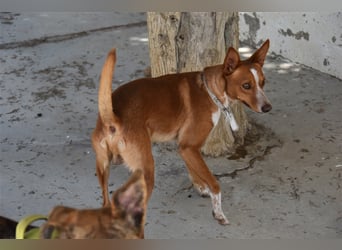 Kiriko, wer verliebt sich in ihn