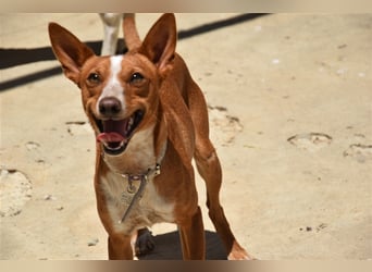 Kiriko, wer verliebt sich in ihn