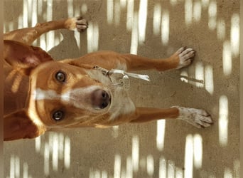 Kiriko, wer verliebt sich in ihn