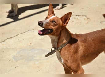 Kiriko, wer verliebt sich in ihn