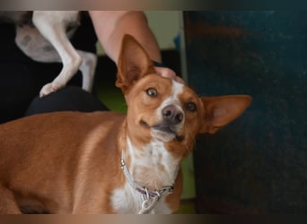 Kiriko, wer verliebt sich in ihn