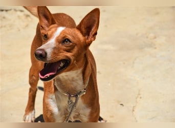 Kiriko, wer verliebt sich in ihn