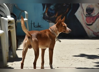 Kiriko, wer verliebt sich in ihn