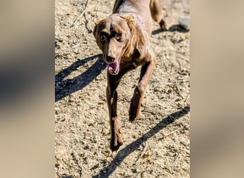 Esperanza, sucht ihr großes Glück