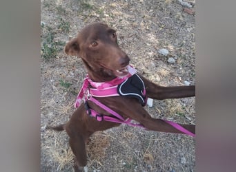 Esperanza, sucht ihr großes Glück