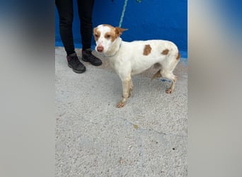 Chira, sie sucht endlich Anschluss