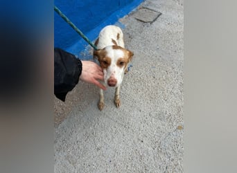 Atreu, er wünscht sich endlich gesehen zu werden