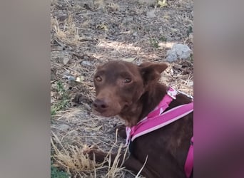 Esperanza, sucht ihr großes Glück