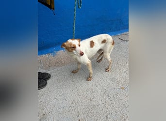 Chira, sie sucht endlich Anschluss