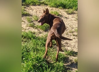 Esperanza, sucht ihr großes Glück