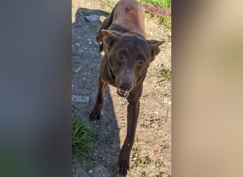 Esperanza, sucht ihr großes Glück