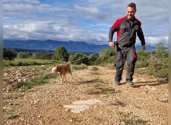 PUNI ist ein Sonnenschein