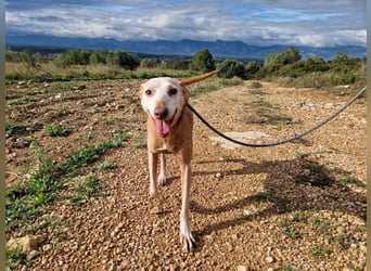 PUNI - ein Sonnenschein