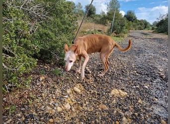 PUNI ist ein Sonnenschein