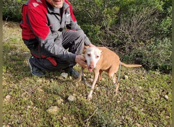 PUNI - ein Sonnenschein