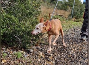 PUNI ist ein Sonnenschein