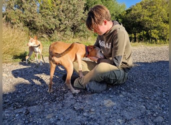 PUNI ist ein Sonnenschein