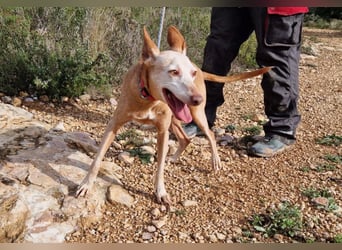 PUNI - ein Sonnenschein